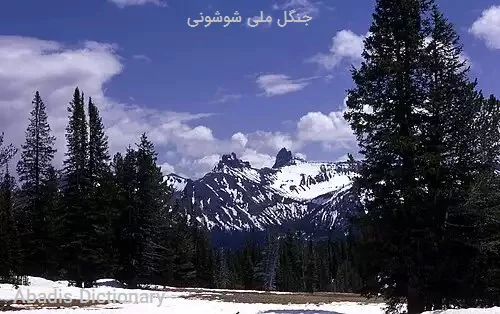 جنگل ملی شوشونی